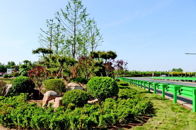抓住契機(jī)廣添綠，綠色商河譜新篇